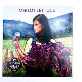 Merlot Lettuce from Hudson Valley Seed Company