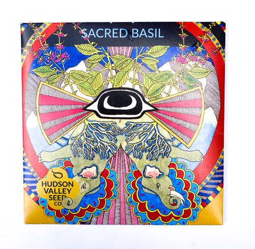 Sacred Basil Seeds -Ocimum Sanctum  by Hudson Valley Seed Company