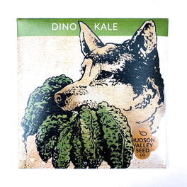 Dino Kale Seeds by Hudson Valley Seed Company